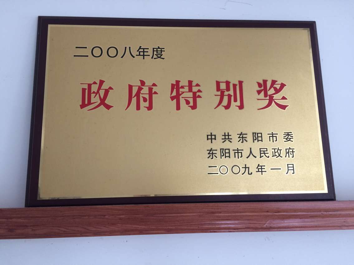 政府特別獎